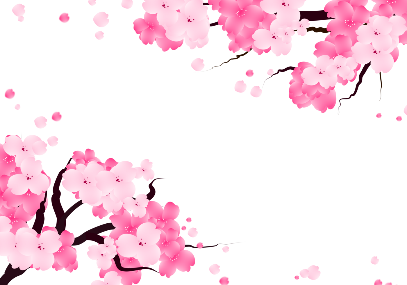 dulce san valentin marco con sakura flores linda Cereza floración antecedentes frontera.frontera png