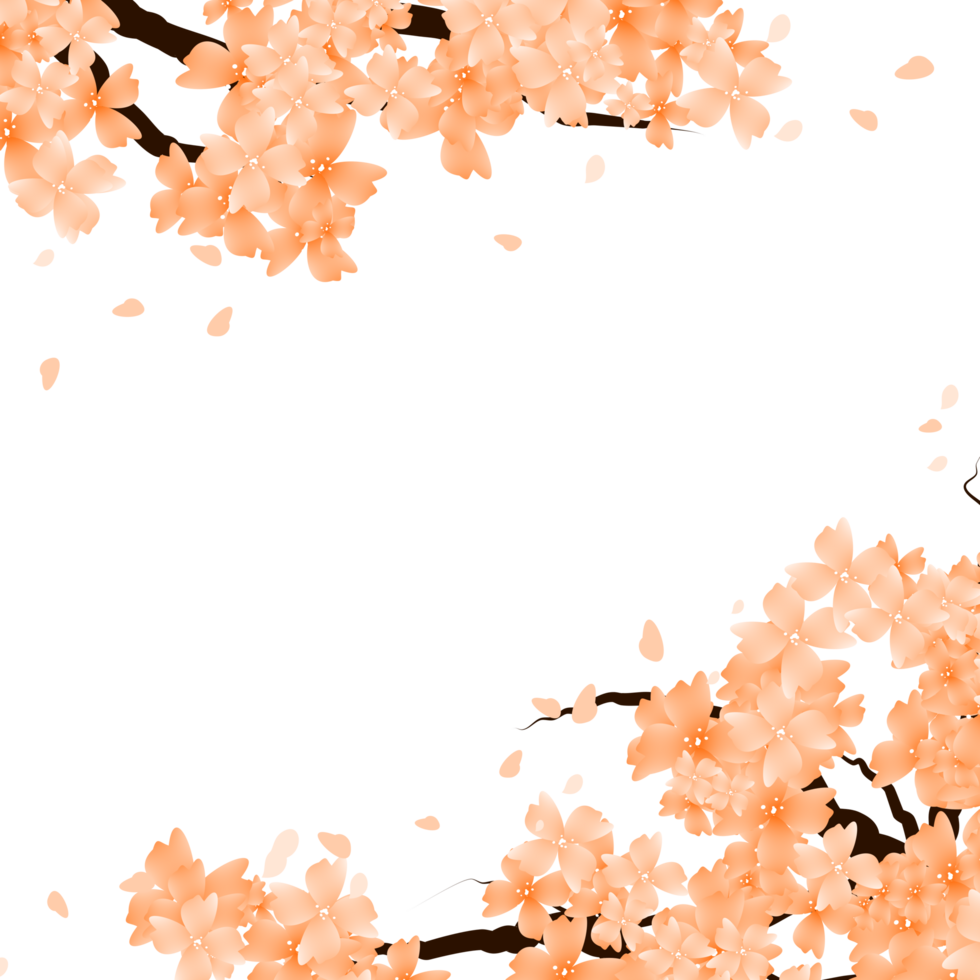 Sakura Bloom Flowers Branch Frame Border. Spring Flowers cherry blossom background png