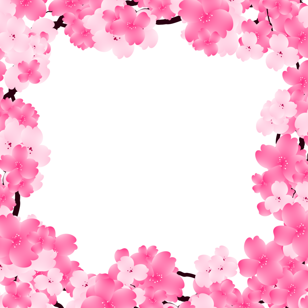 Pink Sakura Frame, Spring Cherry Bloom Border. Flowers Falling Petals Background. png