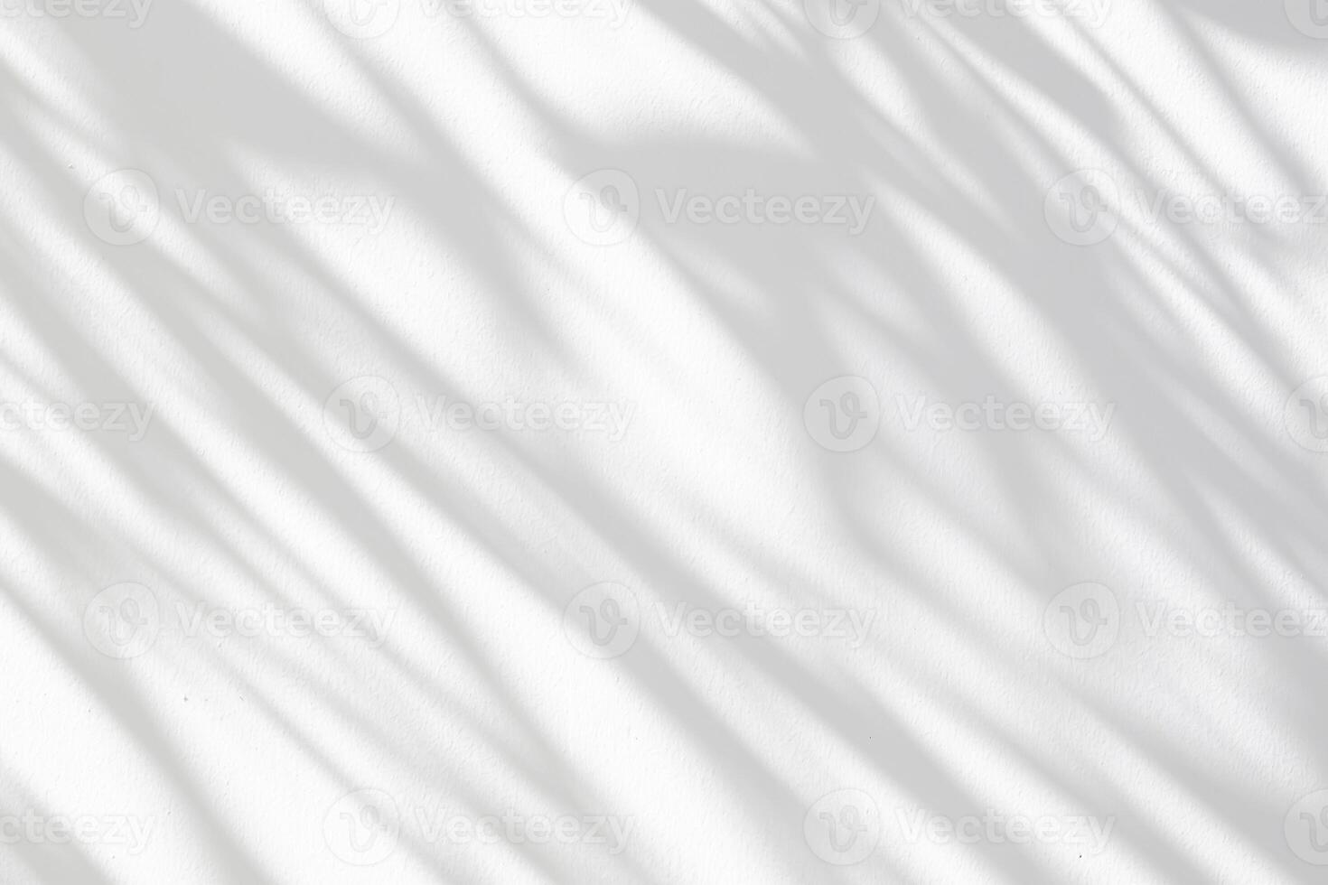 Abstract natural tree leaves shadow on white wall background photo