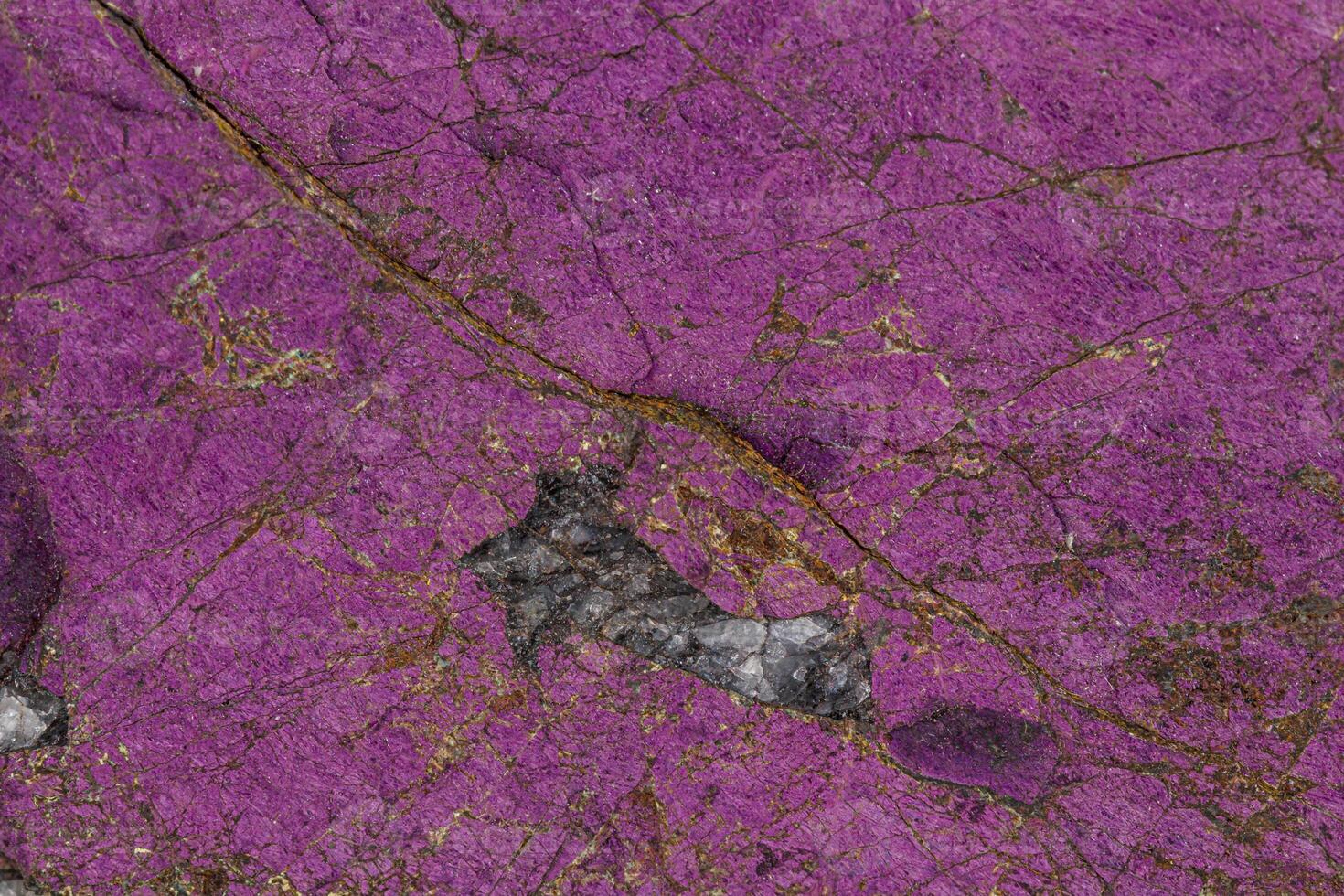 Macro mineral stone purpureus, purple purpurite in the breed a white background photo