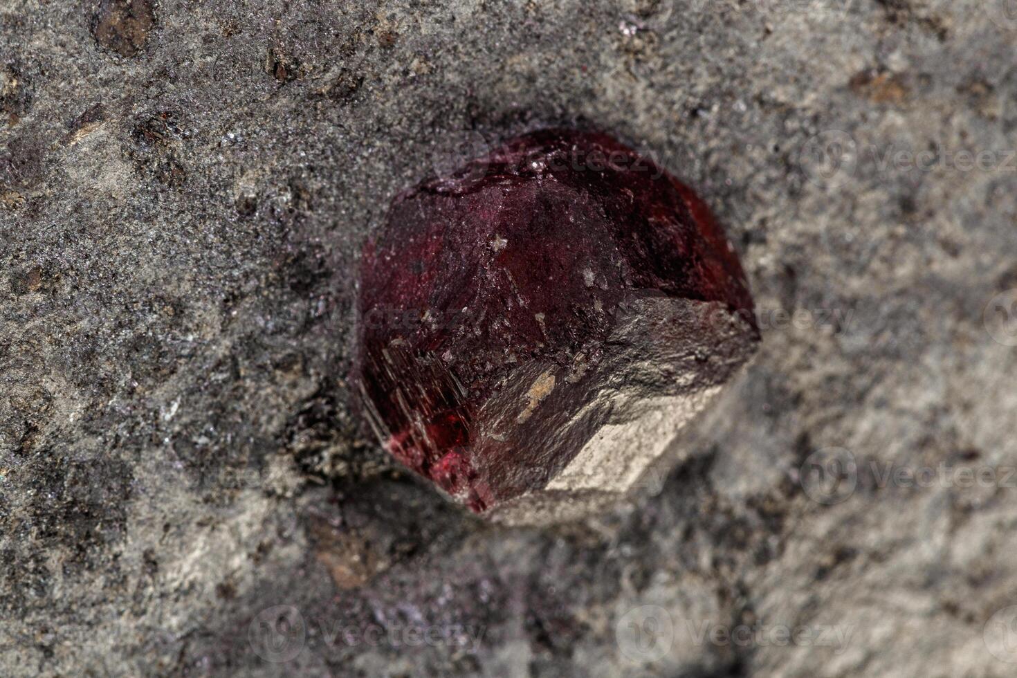 Macro mineral stone Garnet in rock on a white background photo