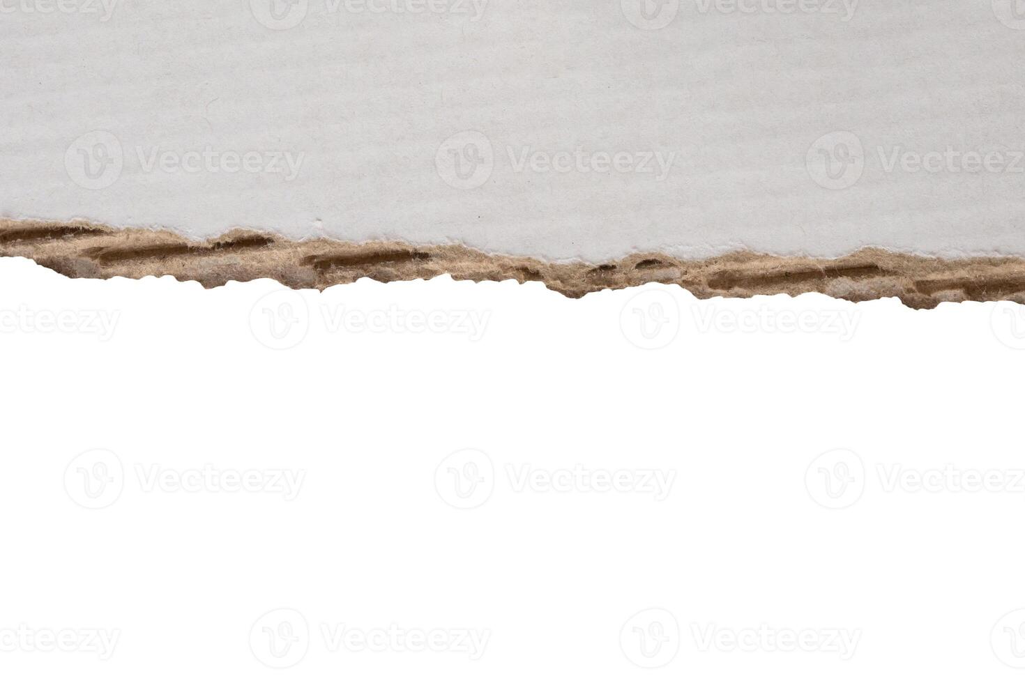 White ripped paper torn edges strips isolated on white background photo