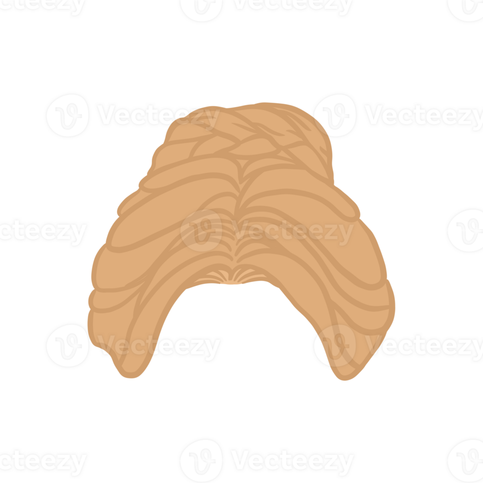 trançado pão Penteado png