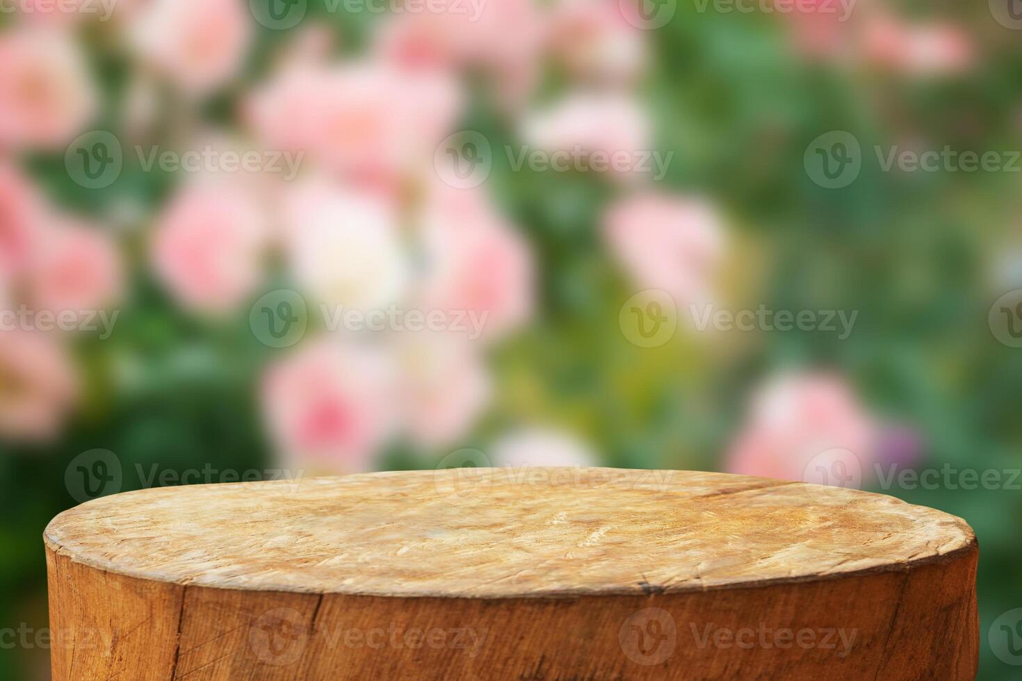 Empty old tree stump table top with blur rose garden background for product display photo