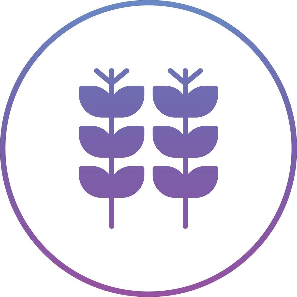 Wheat Vector Icon
