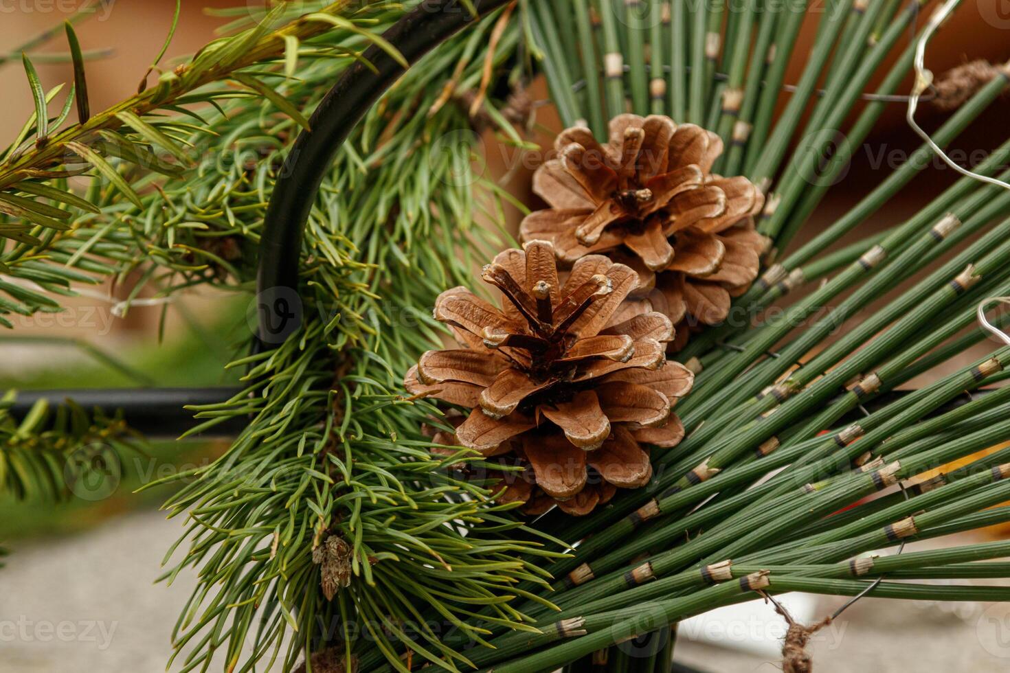 Christmas composition of fresh flowers photo