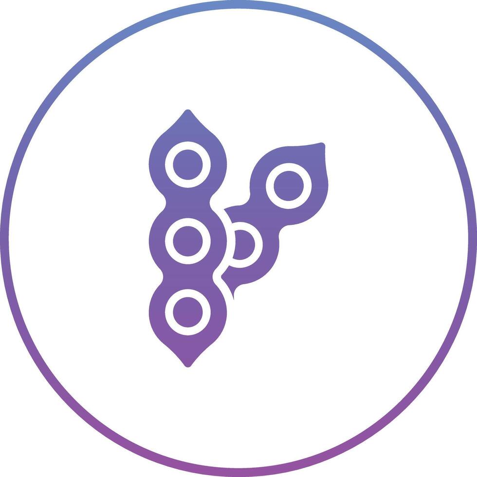 Bean Vector Icon
