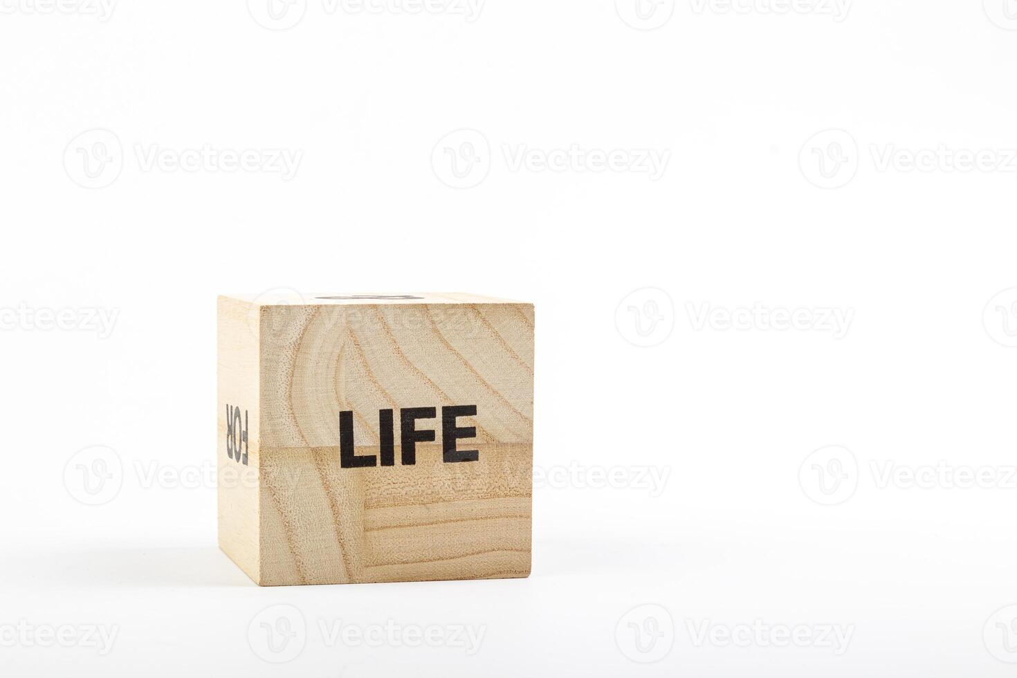 Wooden cubes with the inscription life on a white background photo