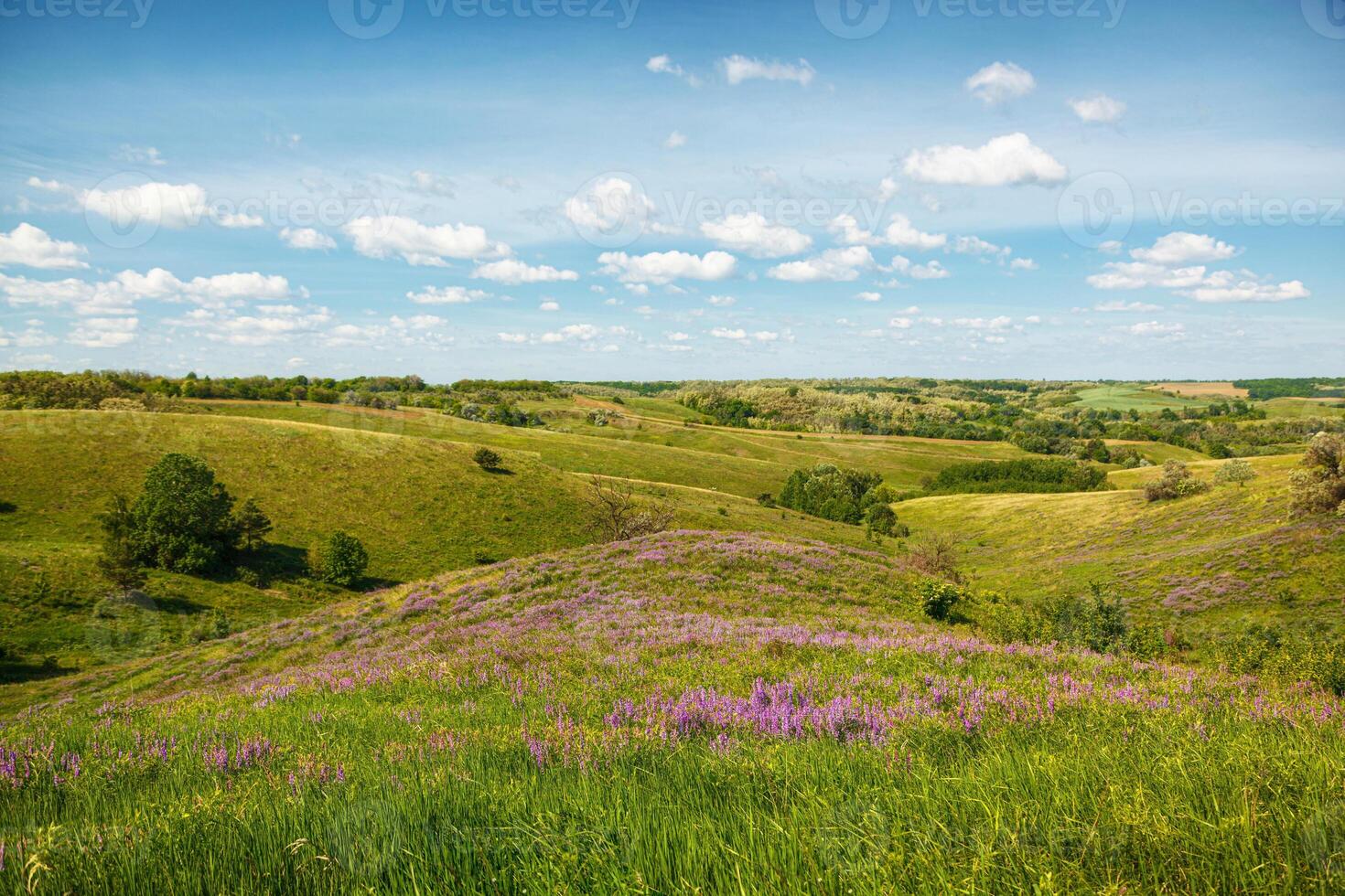 beautiful meadow on the hills with grass and flowers against the background of the sea and the sky photo