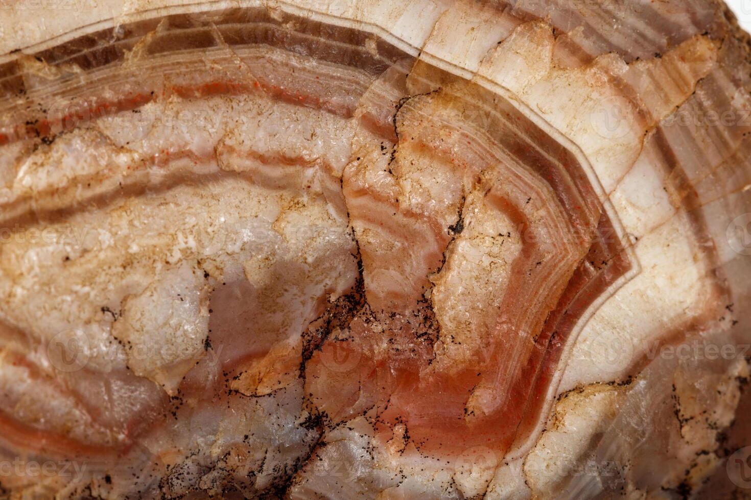 Macro mineral stone Agate Brown on white background photo