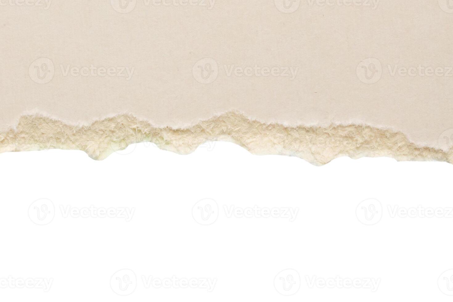 White ripped paper torn edges strips isolated on white background photo