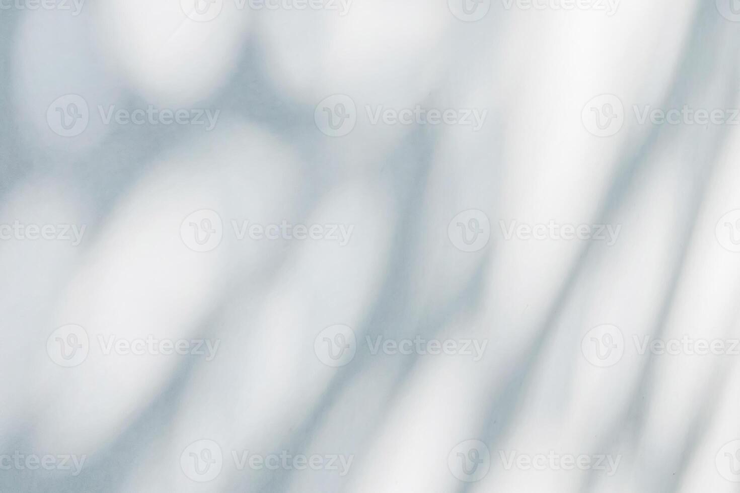 Abstract natural tree leaves shadow on white wall background photo