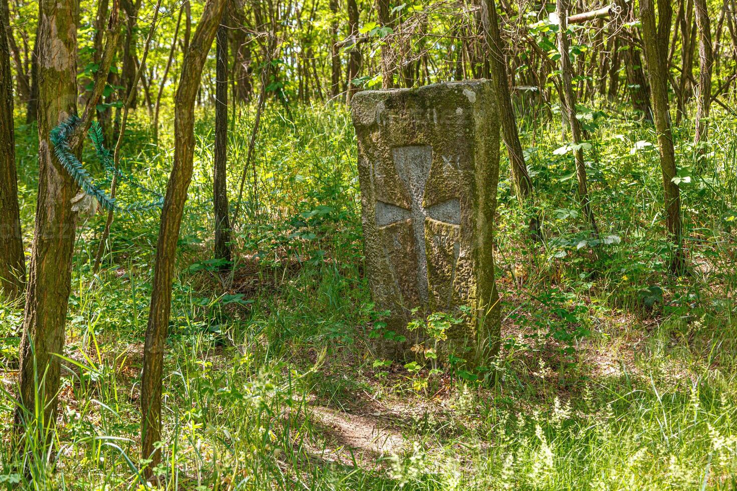 antiguo Roca cruces de el cosaco cementerio en trakhtemirov foto