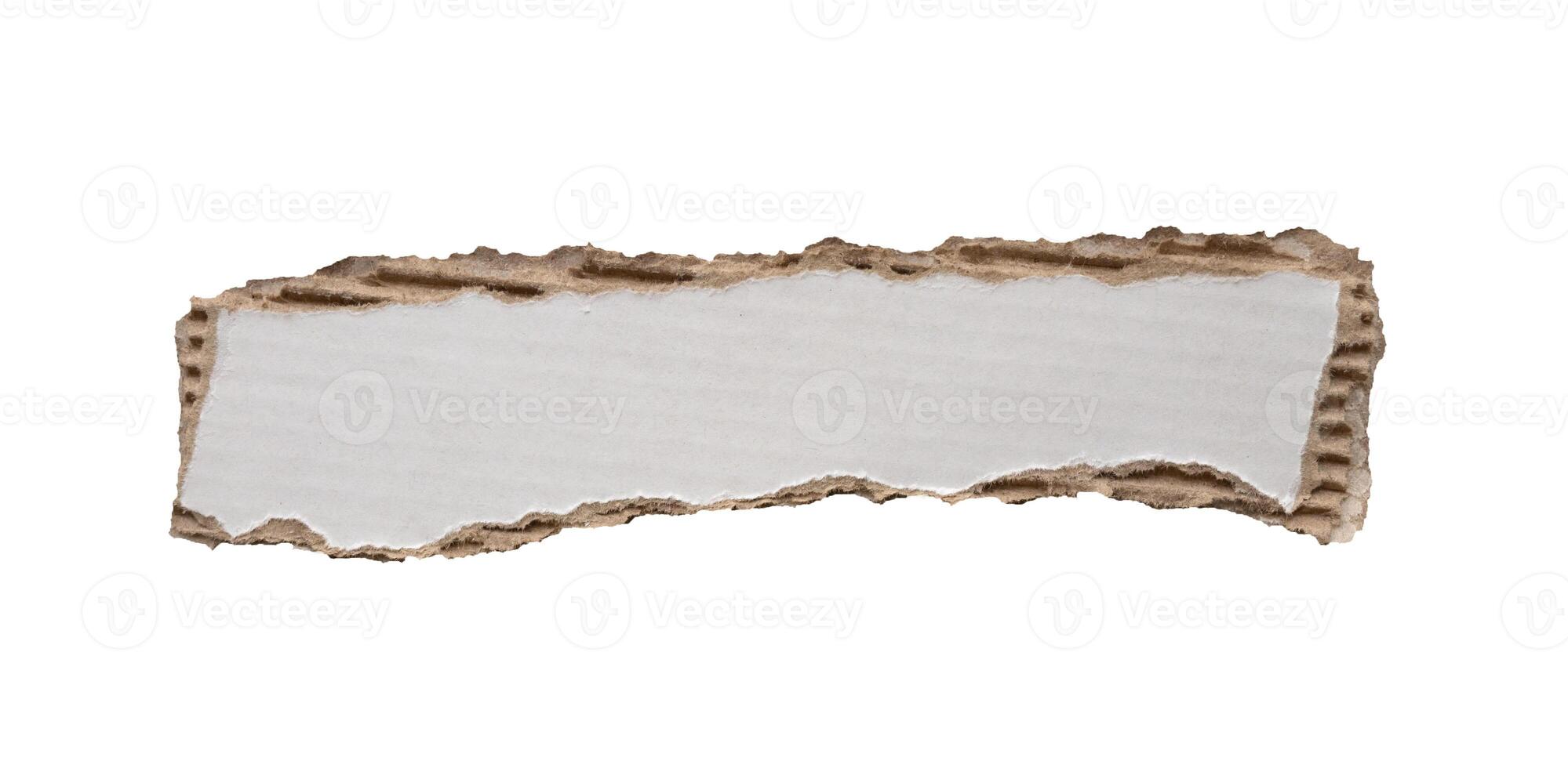 piece of white paper tear isolated on white background photo