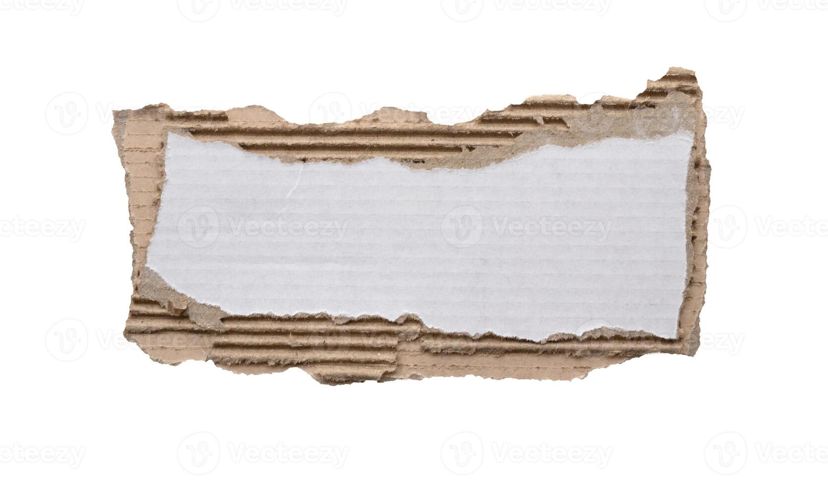 piece of white paper tear isolated on white background photo