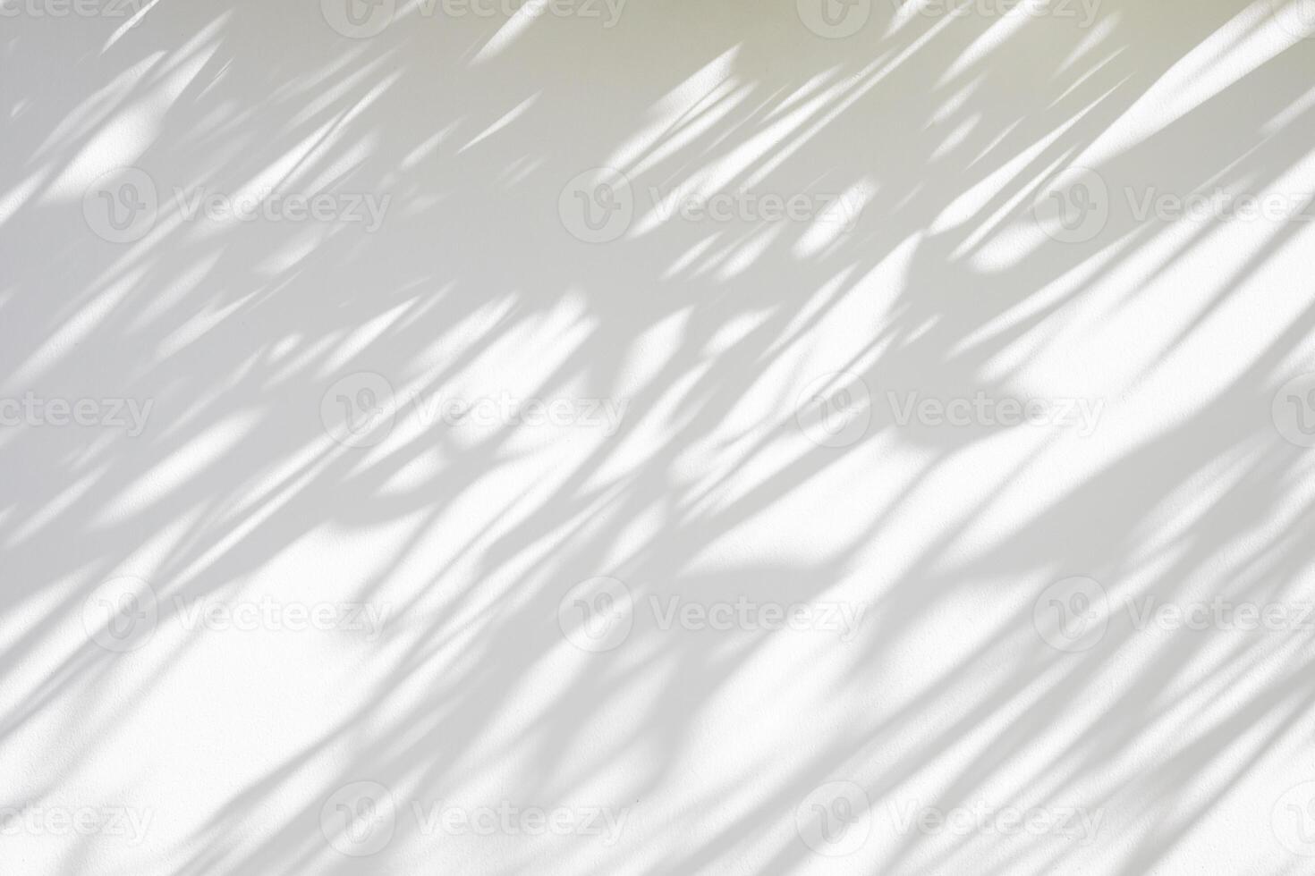 Abstract natural tree leaves shadow on white wall background photo