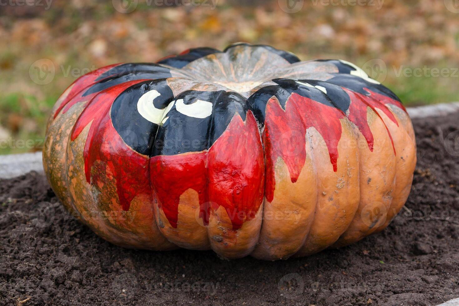 Beautiful pumpkins for halloween photo