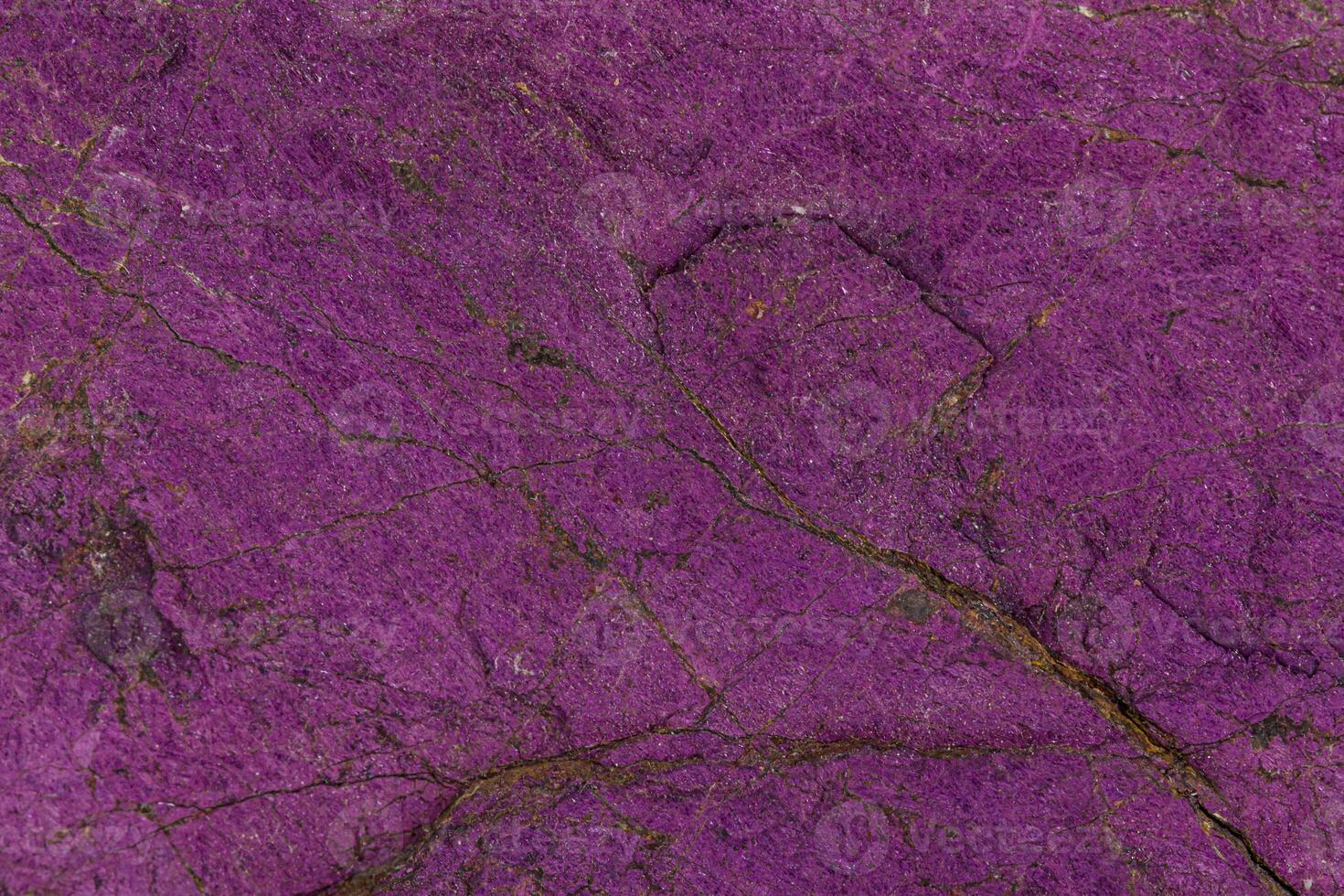 Macro mineral stone purpureus, purple purpurite in the breed a white background photo