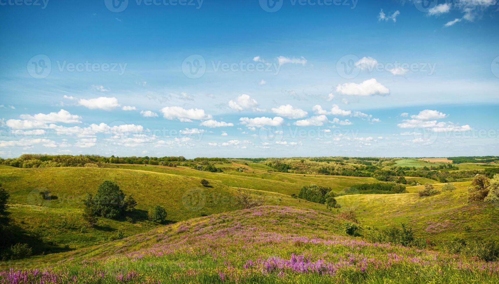 beautiful meadow on the hills with grass and flowers against the background of the sea and the sky photo