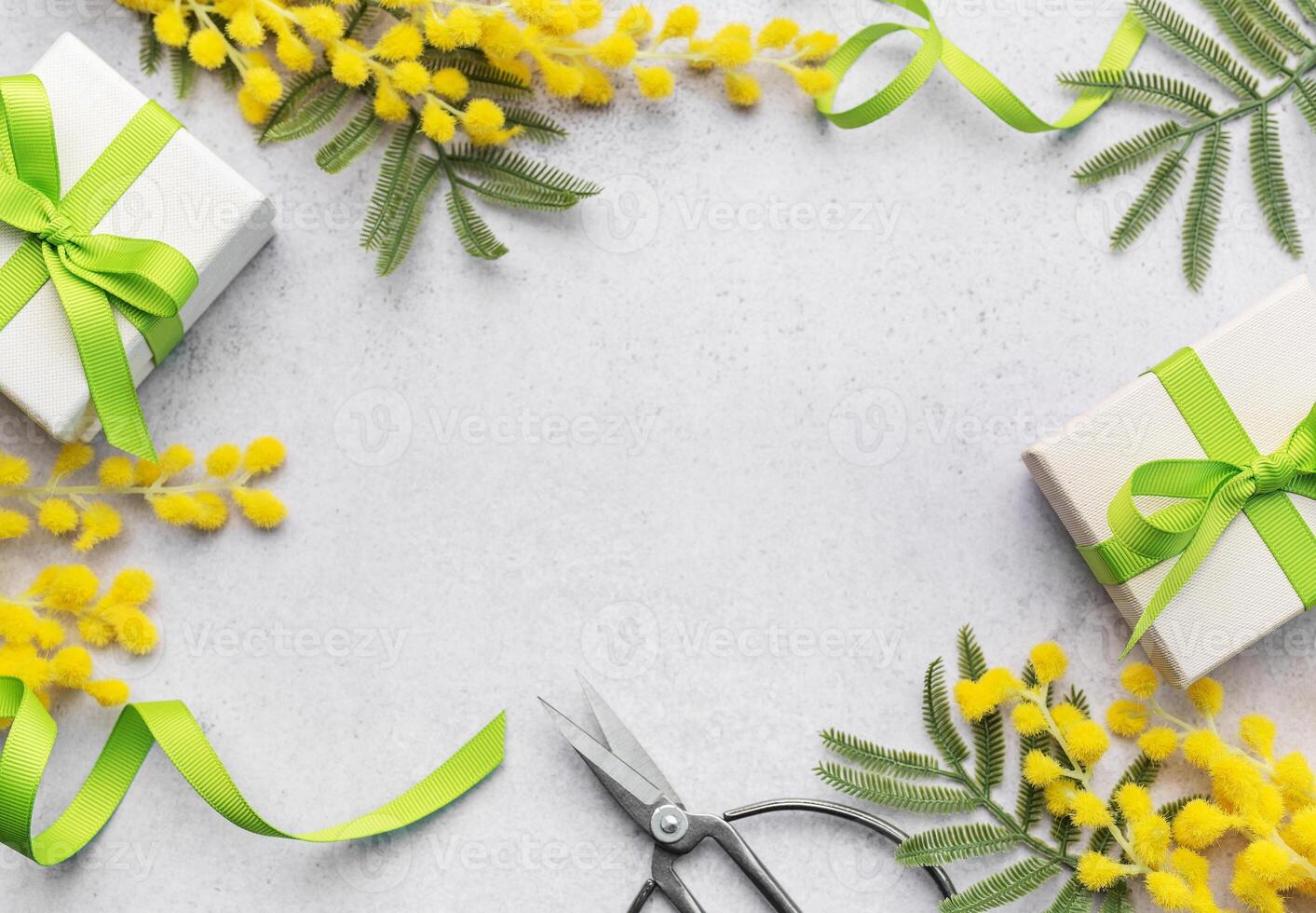 Mimosa branch and gift boxes on gray concrete background. photo
