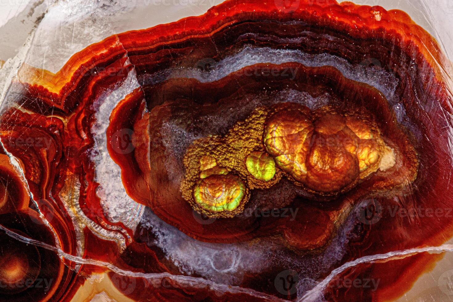 macro mineral stone fire agate on a black background photo