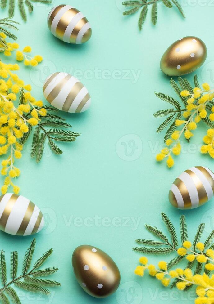 Mimosa branch, Easter eggs on light green background. photo