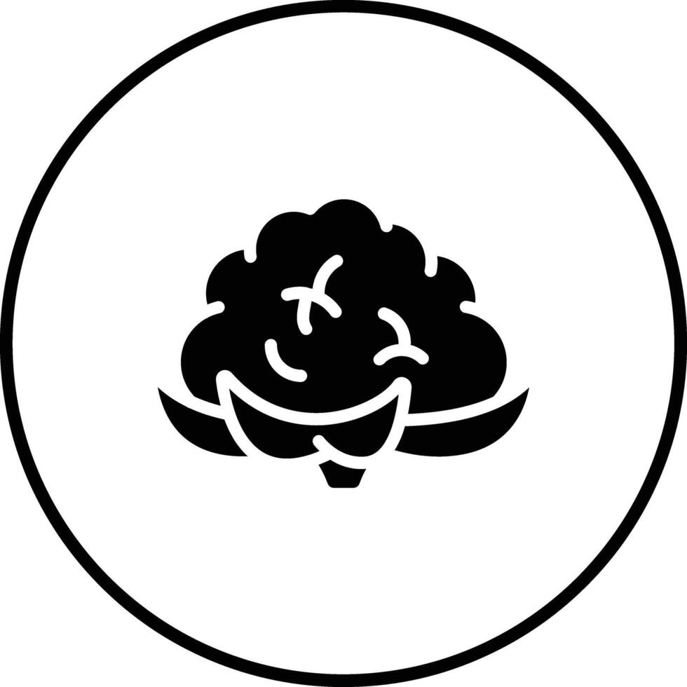 Cauliflower Vector Icon