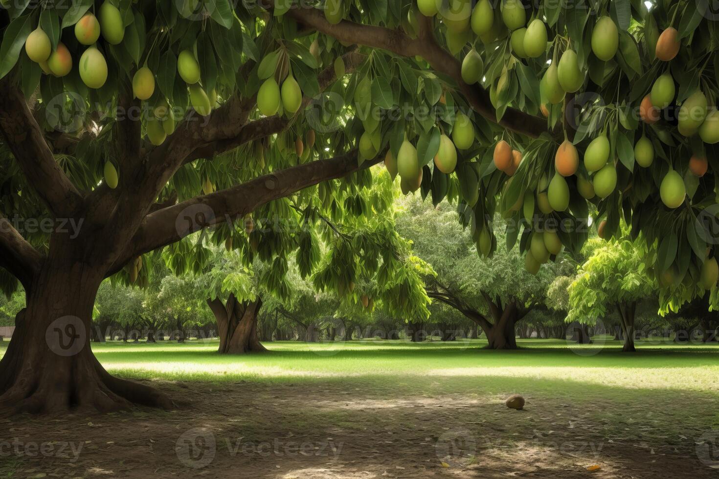 AI generated Mango tree plantation. Generate ai photo