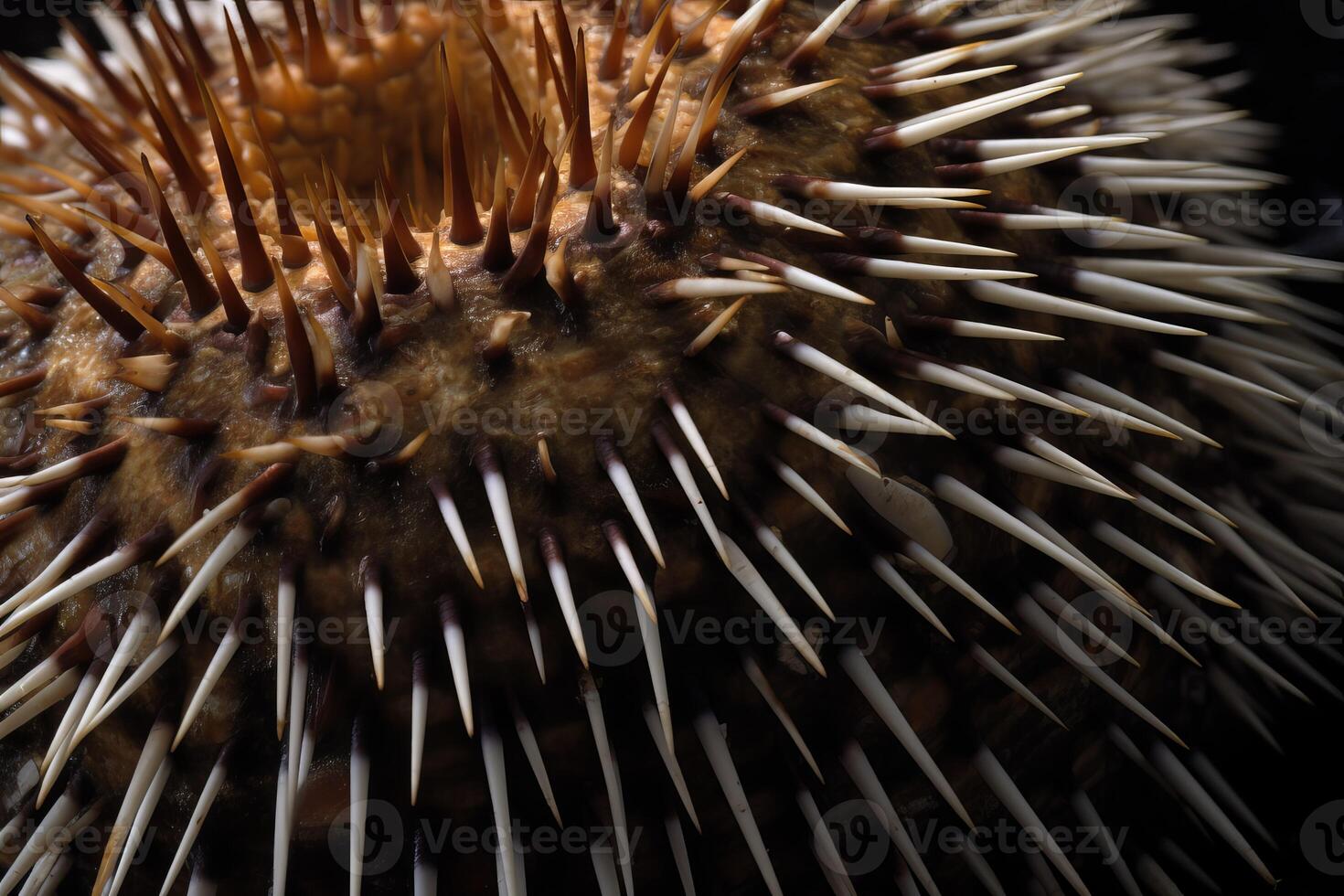 AI generated Sea urchin closeup photo. Generate AI photo