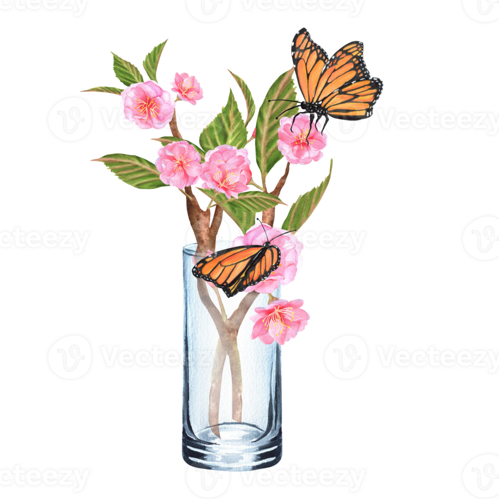 Hand-drawn watercolor illustrations. Sakura branches with pink flowers and green leaves and butterflies in a glass png