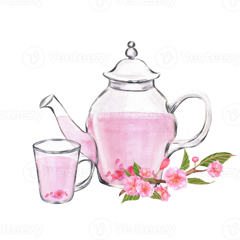 Hand-drawn watercolor illustration. Glass teapot and a cup with sakura tea and sakura branch near it png