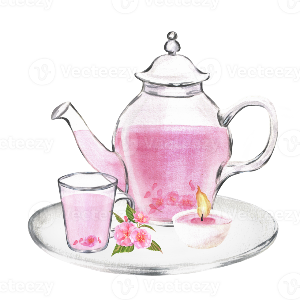 Hand-drawn watercolor illustration. Glass teapot and cup with sakura tea on the glass pate with tea candle and sakura flowers png