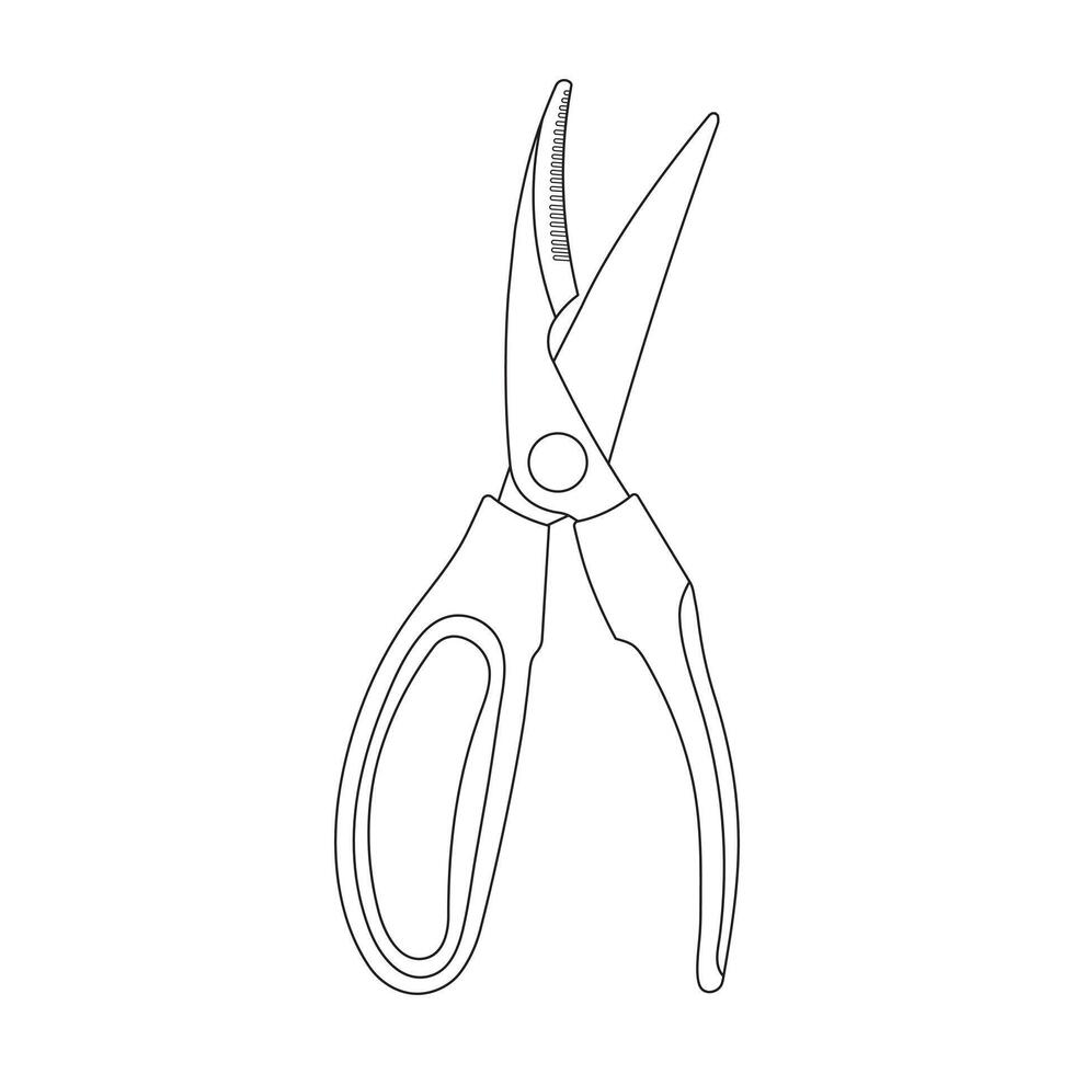Hand drawn Kids drawing Cartoon Vector illustration poultry snips Isolated in doodle style