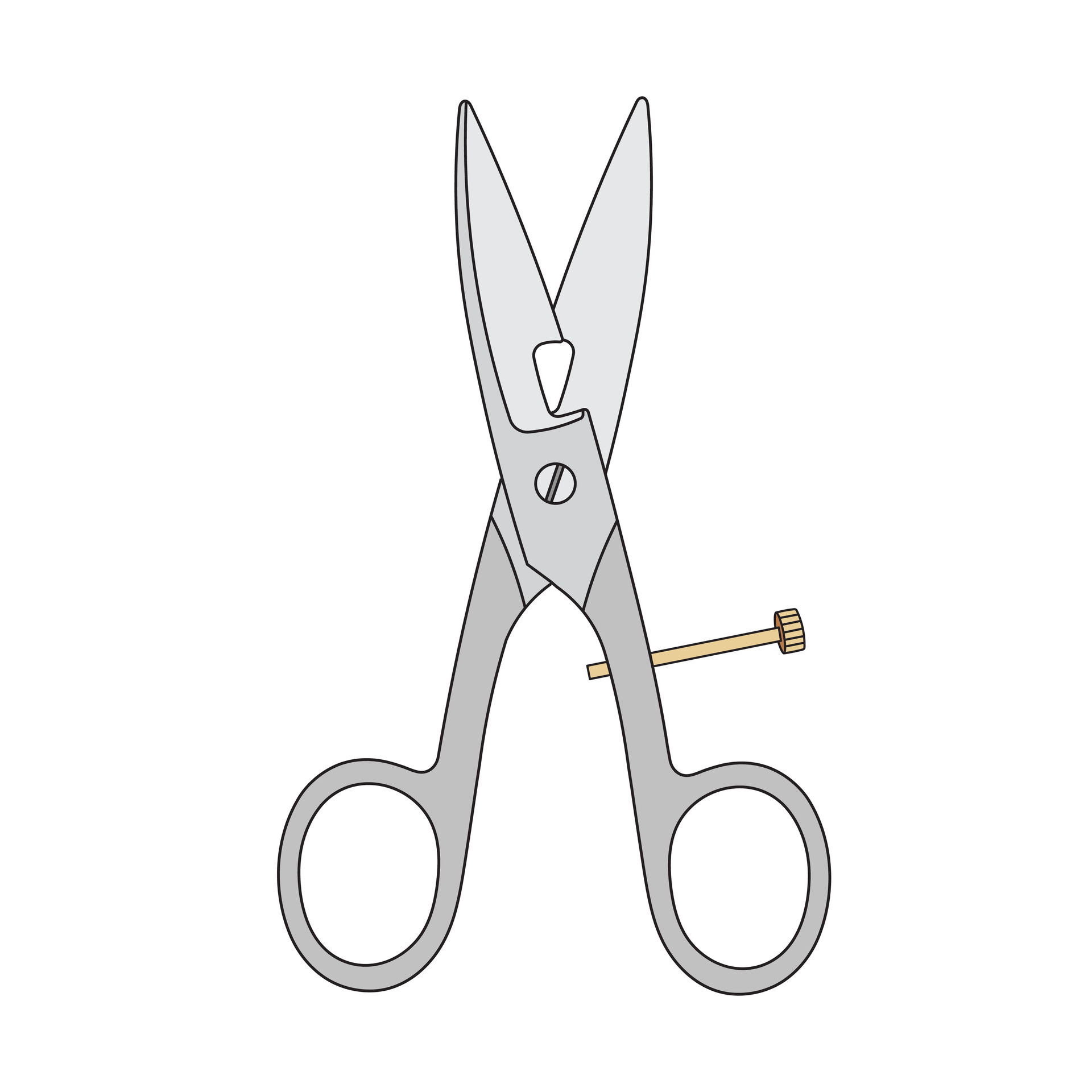 Kids drawing Cartoon Vector illustration button hole scissors Isolated