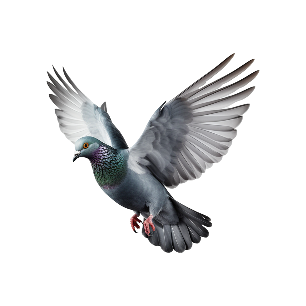 AI generated Flying pigeon isolated on transparent background png