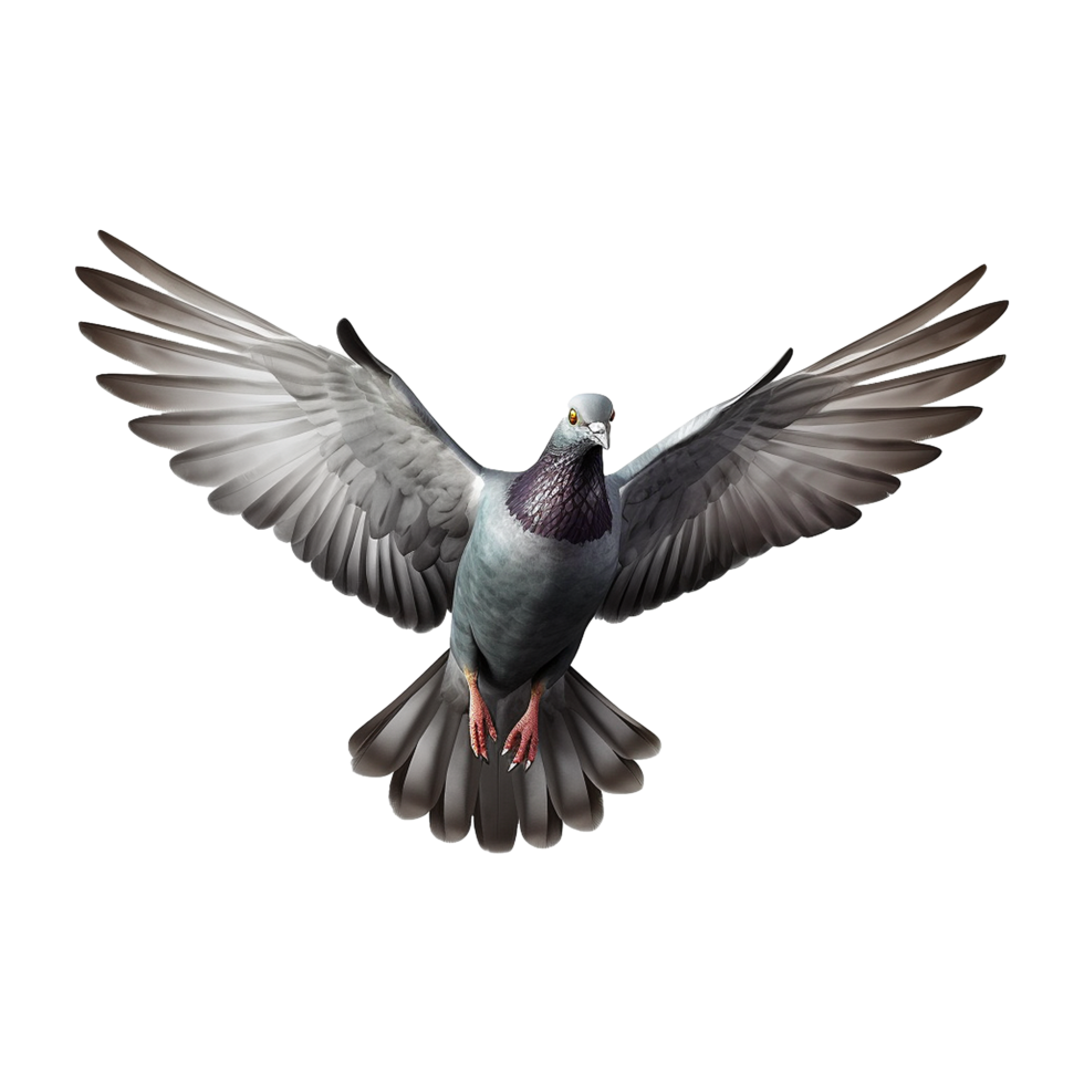 AI generated Flying pigeon isolated on transparent background png