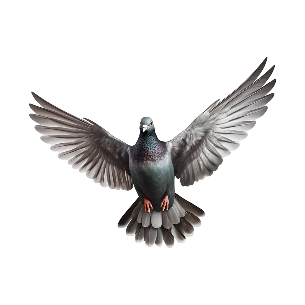 AI generated Flying pigeon isolated on transparent background png