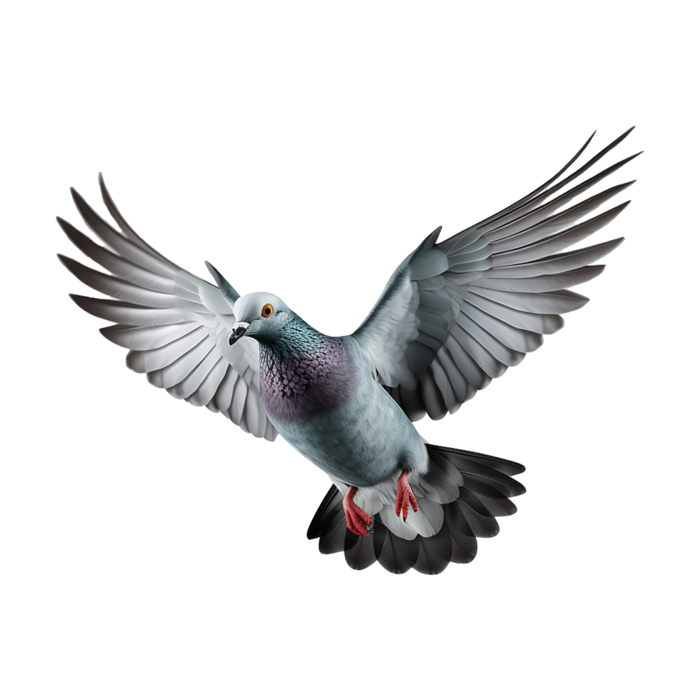 AI generated Flying pigeon isolated on transparent background png