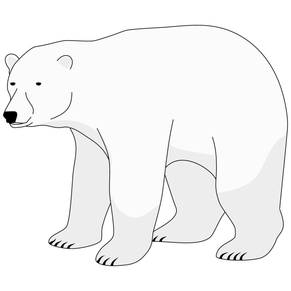 white bear family vector