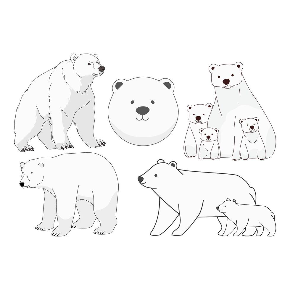 white bear family vector