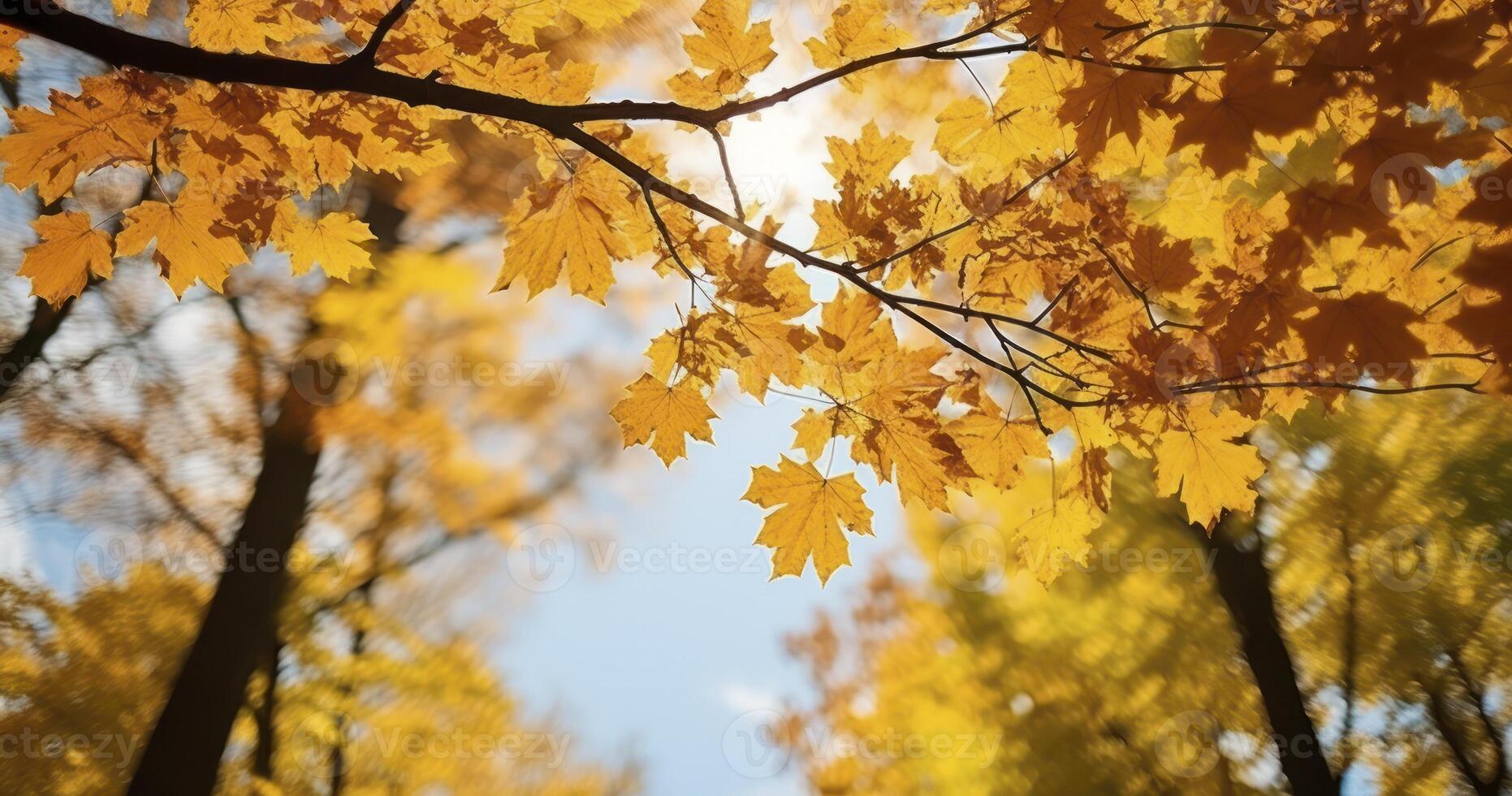 AI generated The Stunning Perspective of Dense Woods in Full Fall Splendor photo