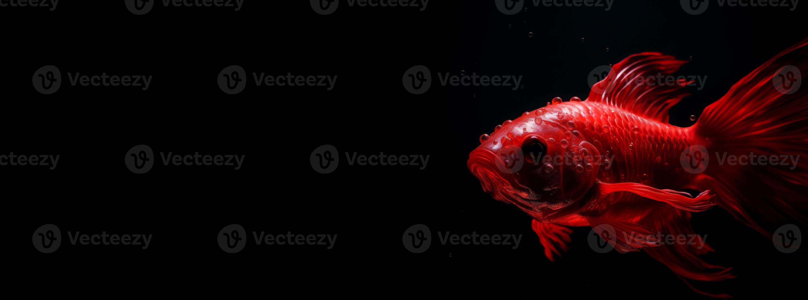 AI generated Red fish wallpaper on black background banner. Generate ai photo