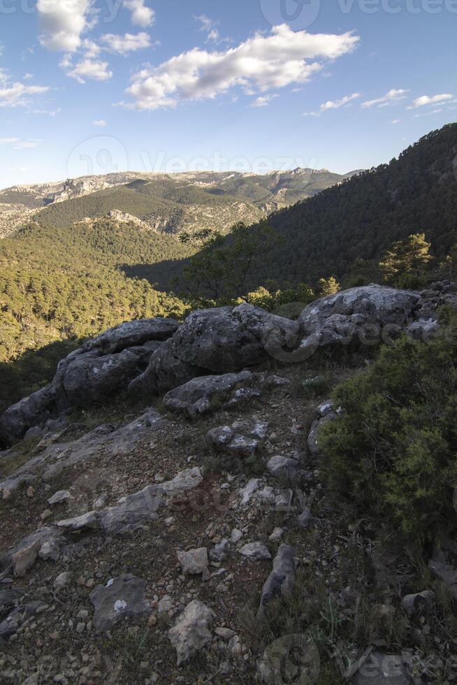 paisajes y caminos de el hermosa naturaleza de el sierra Delaware cazorla, jaén, España. naturaleza vacaciones concepto. foto