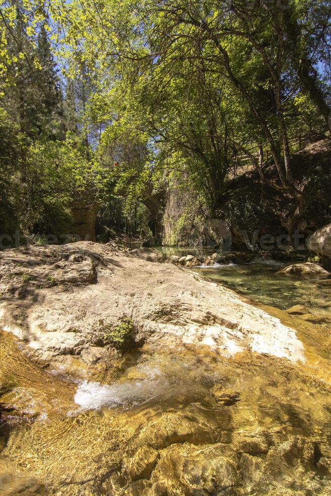 paisajes y caminos de el hermosa naturaleza de el sierra Delaware cazorla, jaén, España. naturaleza vacaciones concepto. foto