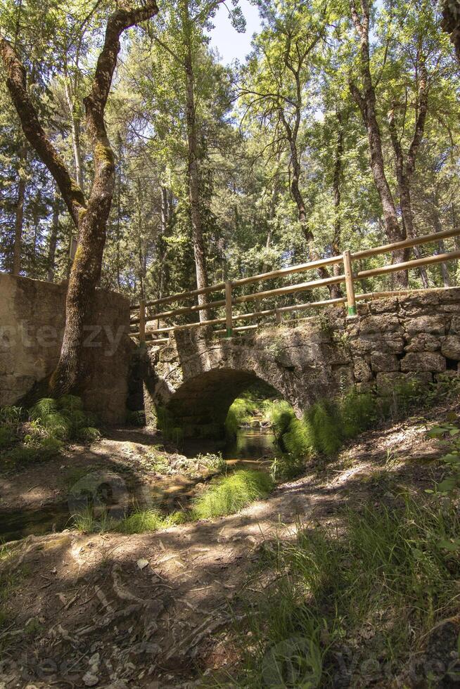 Landscapes and trails of the beautiful nature of the Sierra de Cazorla, Jaen, Spain. Nature vacation concept. photo