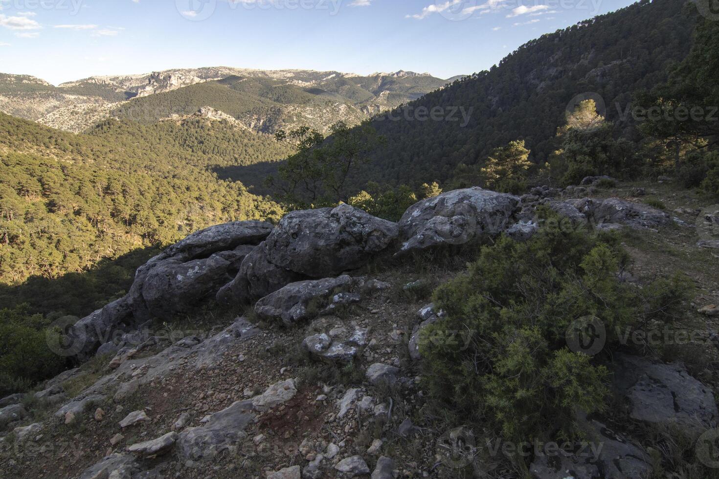 paisajes y caminos de el hermosa naturaleza de el sierra Delaware cazorla, jaén, España. naturaleza vacaciones concepto. foto