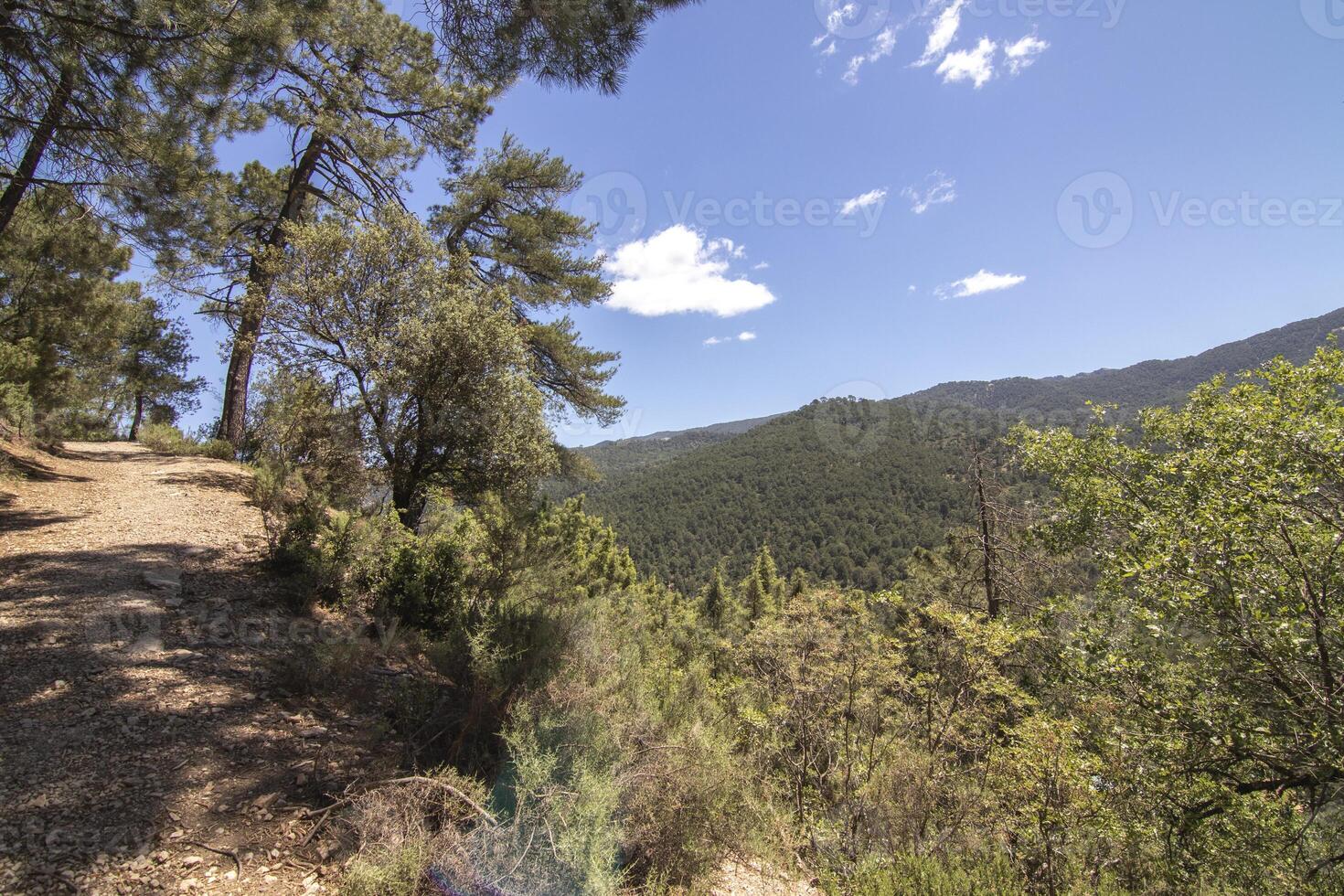 Landscapes and trails of the beautiful nature of the Sierra de Cazorla, Jaen, Spain. Nature vacation concept. photo