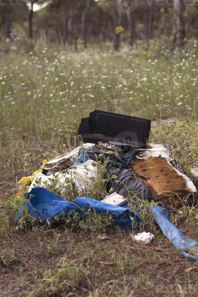 Garbage in nature, in a pine forest. Domestic pollution is becoming more serious, with an overpopulation. photo