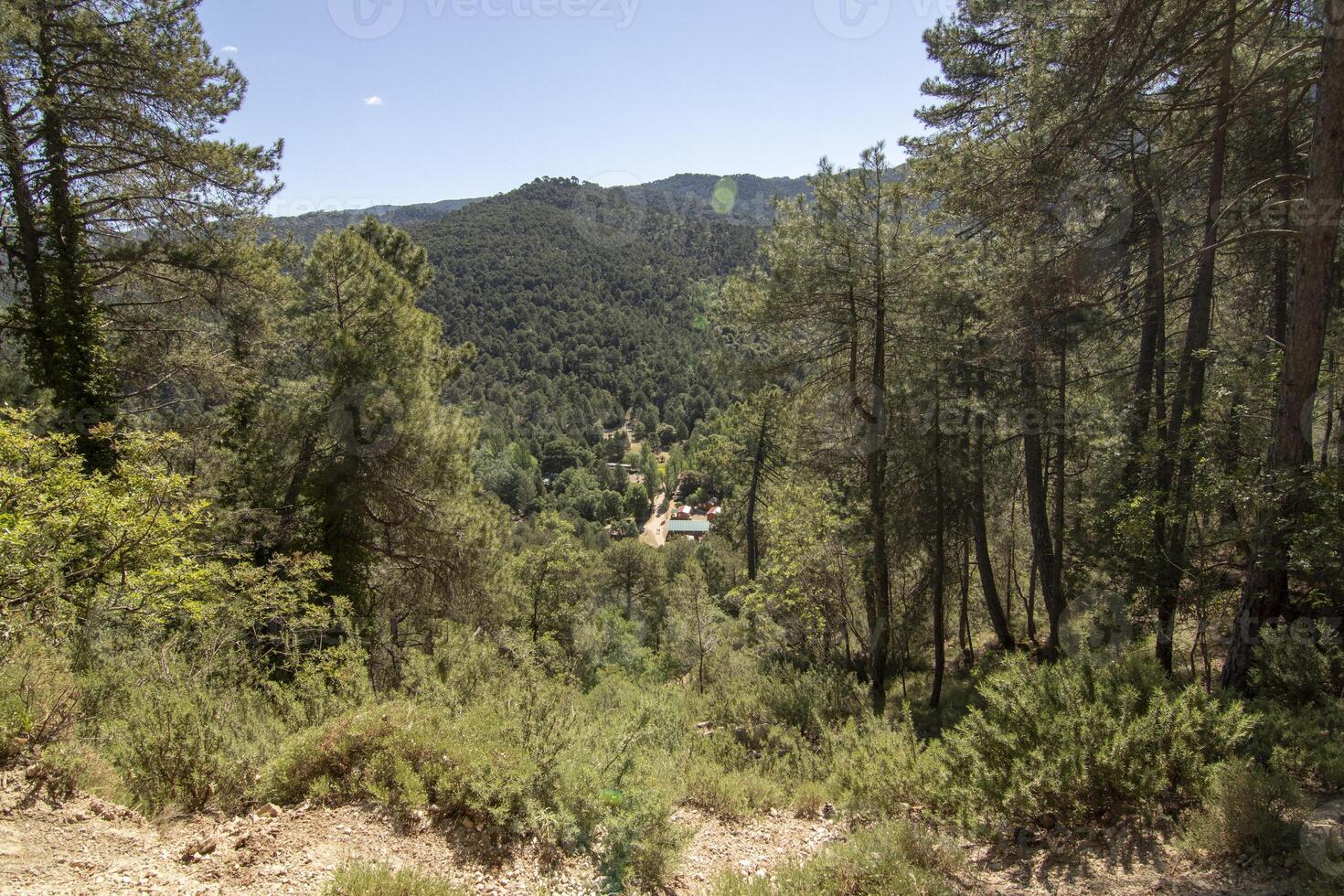 Landscapes and trails of the beautiful nature of the Sierra de Cazorla, Jaen, Spain. Nature vacation concept. photo